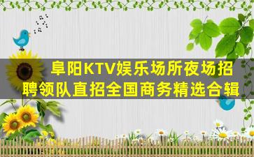 阜阳KTV娱乐场所夜场招聘领队直招全国商务精选合辑